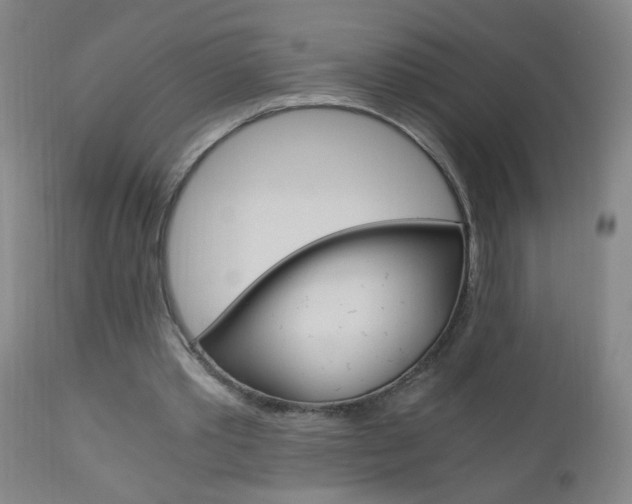 X0000110870389200906181015