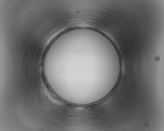 X0000110870390200906181015
