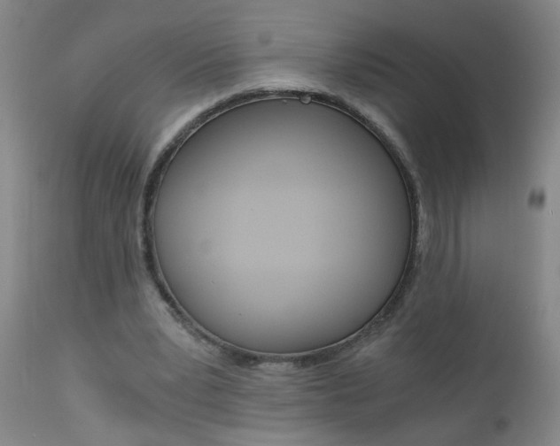 X0000110870391200906181015