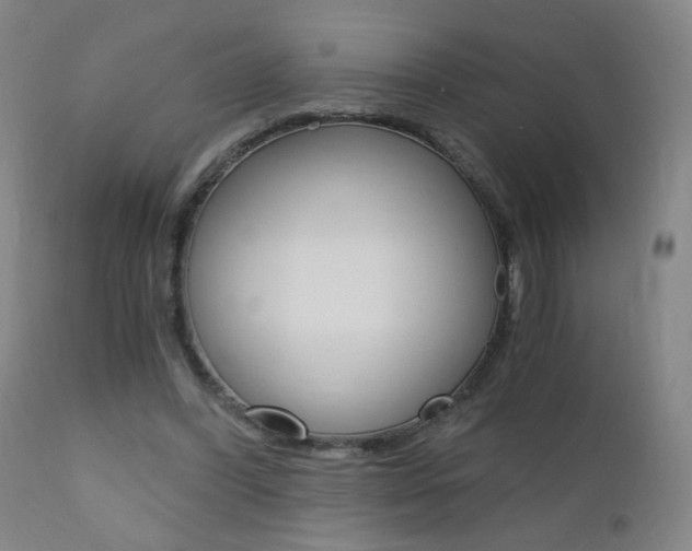 X0000110870396200906181015
