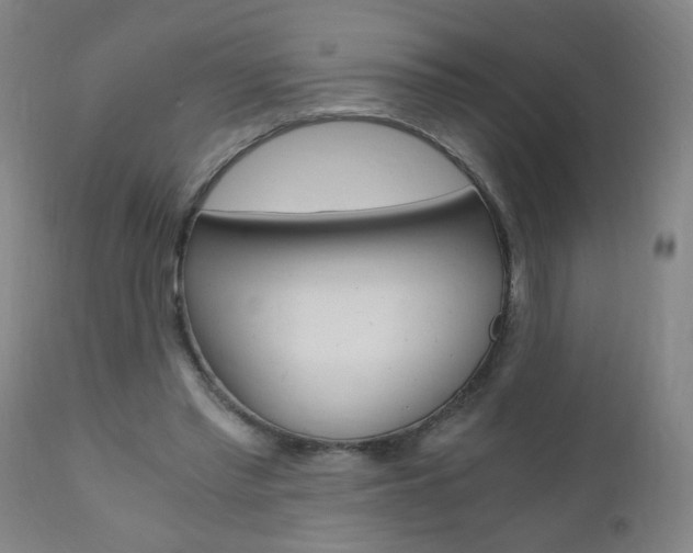 X0000110870397200906181015