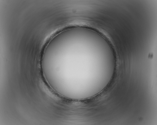 X0000110870399200906181015