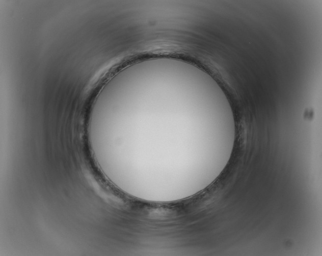 X0000110870400200906181015