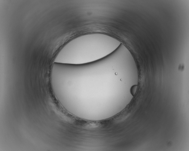 X0000110870402200906181015