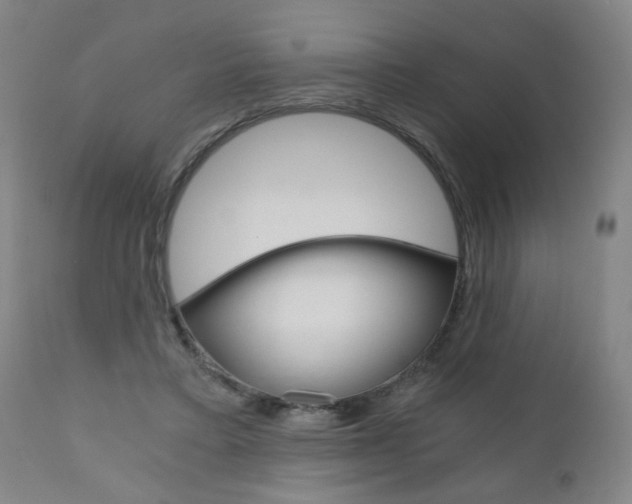 X0000110870403200906181015
