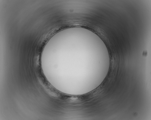 X0000110870406200906181015