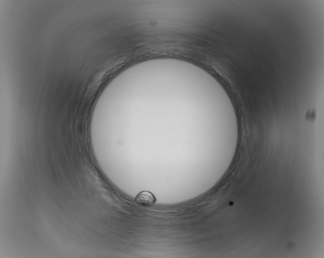 X0000110870407200906181015