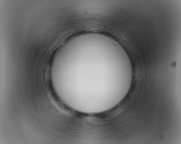 X0000110870408200906181015