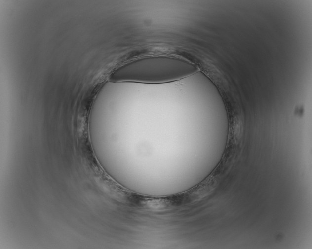 X0000110870417200906181015