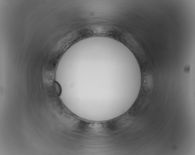 X0000110870419200906181015