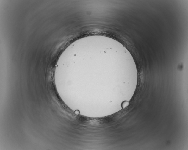 X0000110870423200906181015