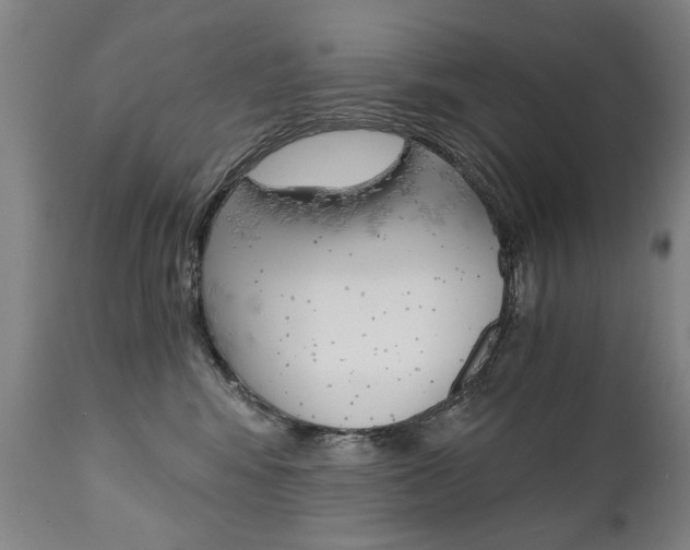 X0000110870424200906181014