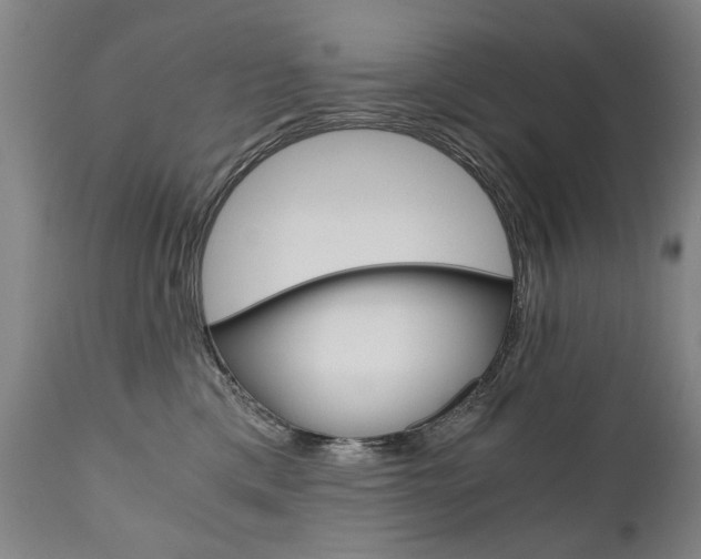 X0000110870425200906181014