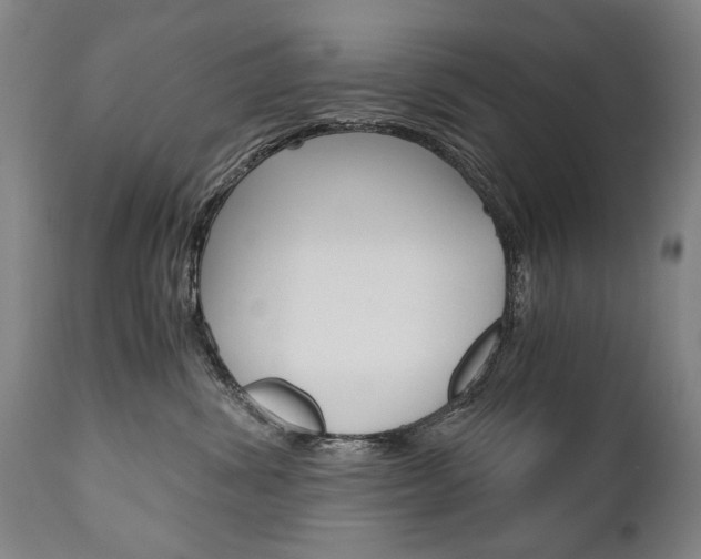 X0000110870428200906181014