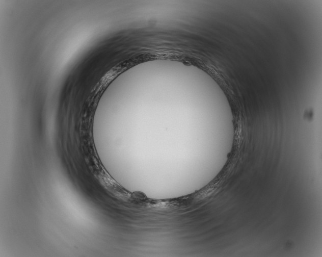 X0000110870430200906181014