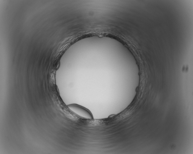 X0000110870432200906181014