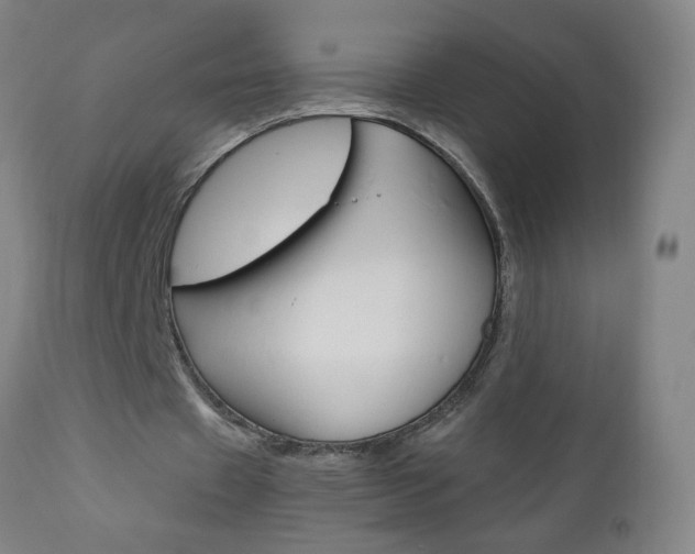 X0000110870433200906181014