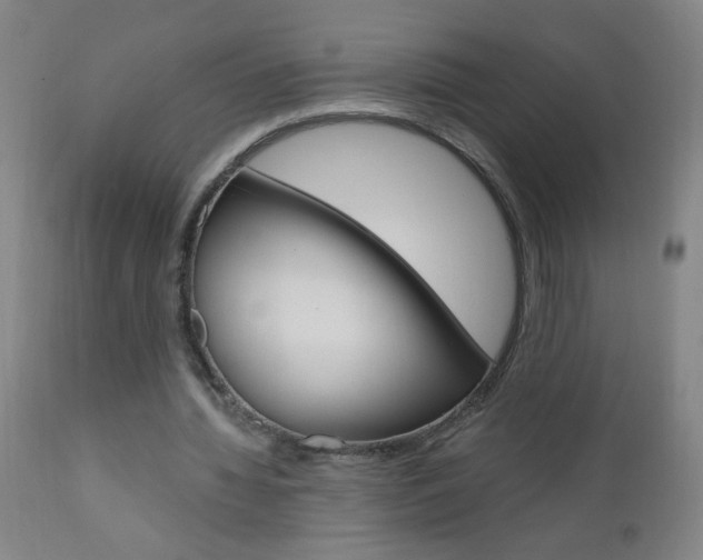 X0000110870436200906181014