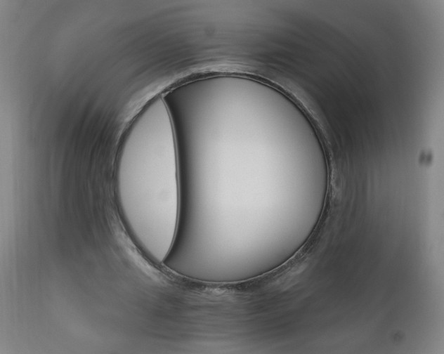 X0000110870437200906181014