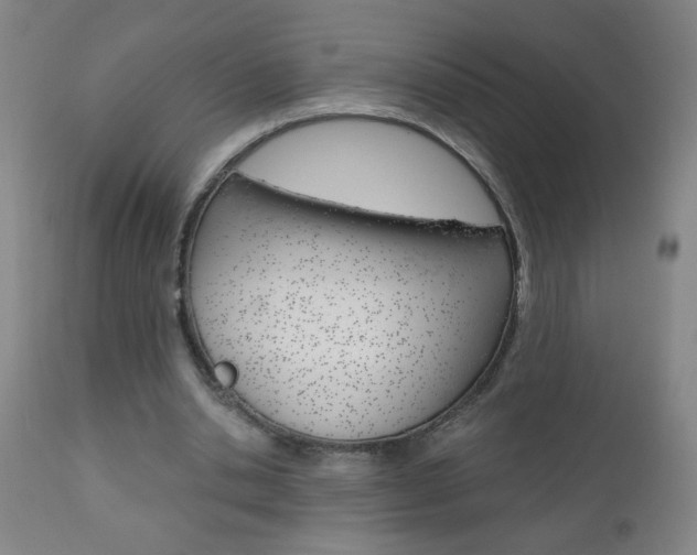 X0000110870438200906181014