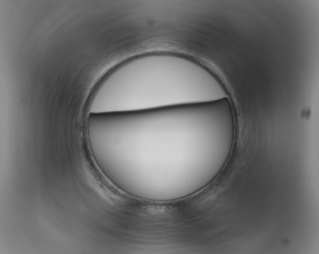 X0000110870439200906181014