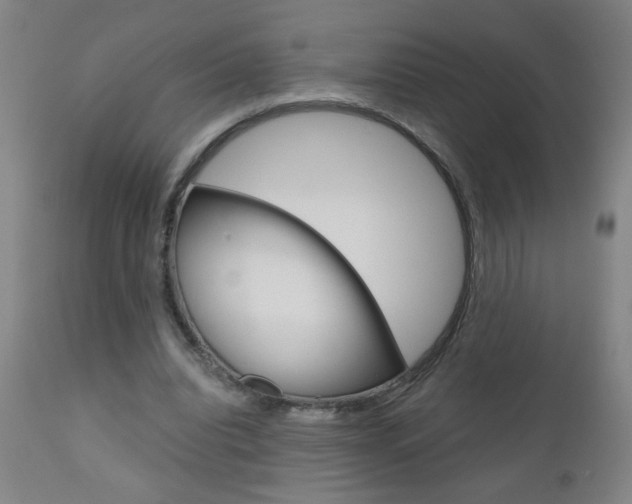 X0000110870440200906181014