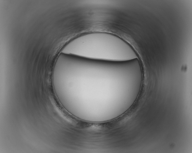 X0000110870441200906181014