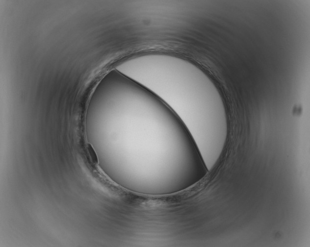 X0000110870444200906181014