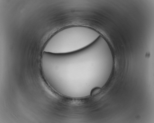 X0000110870445200906181014