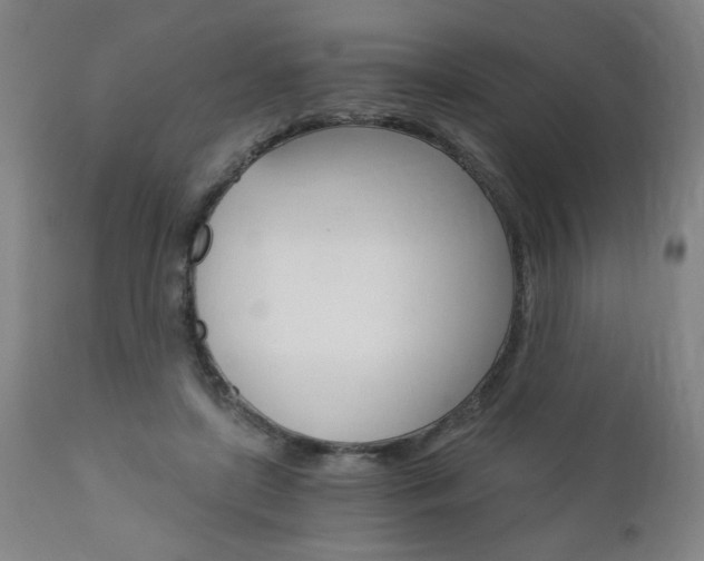 X0000110870451200906181014