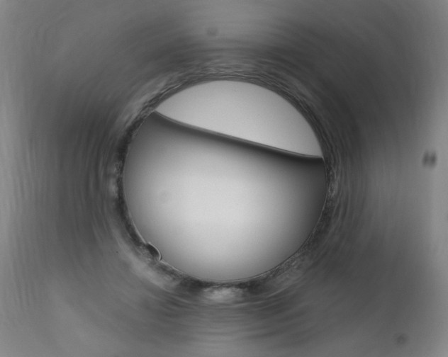 X0000110870452200906181014
