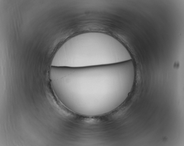X0000110870453200906181014