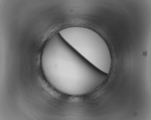X0000110870454200906181014