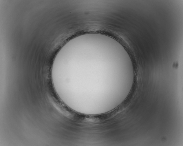 X0000110870455200906181014
