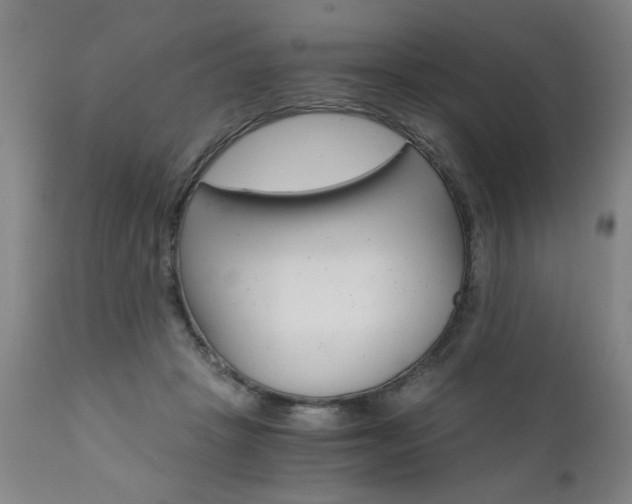 X0000110870457200906181014