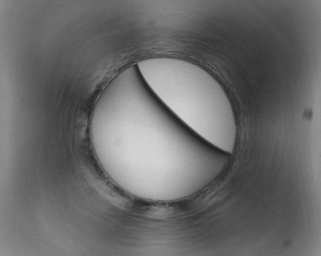 X0000110870458200906181014
