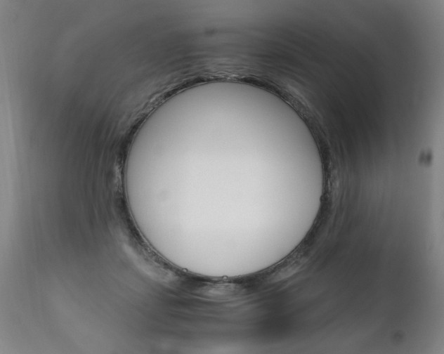 X0000110870459200906181014