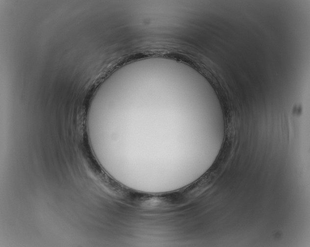 X0000110870460200906181014