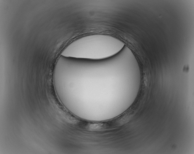 X0000110870461200906181014
