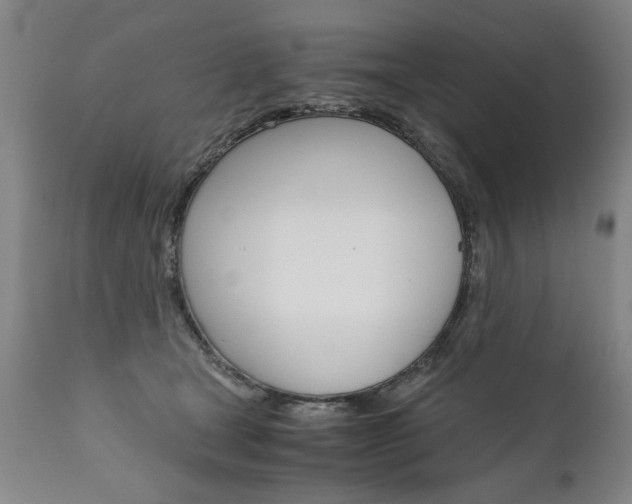 X0000110870465200906181014