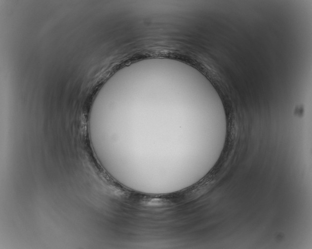 X0000110870467200906181014
