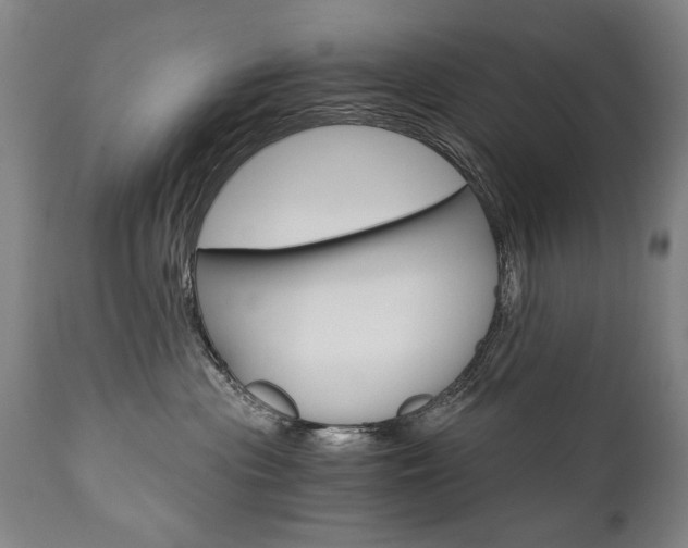 X0000110870477200906181014