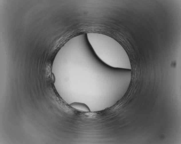 X0000110870478200906181014