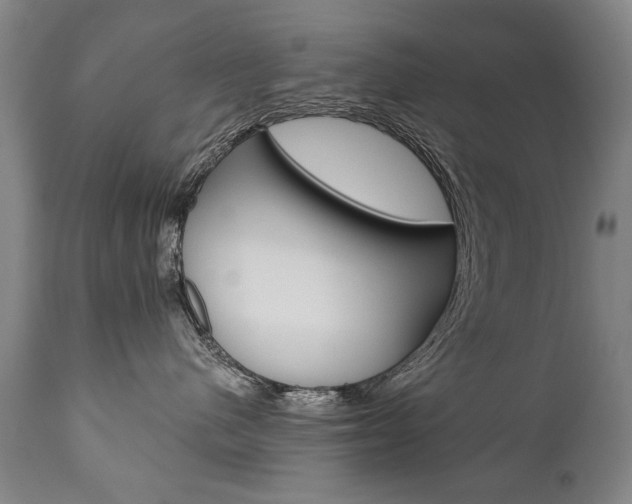 X0000110870480200906181014