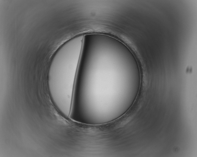 X0000110870481200906181014