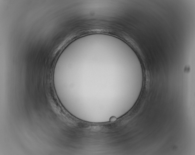 X0000110870482200906181014