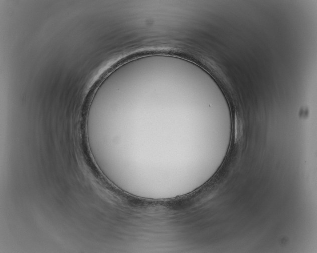 X0000110870483200906181014