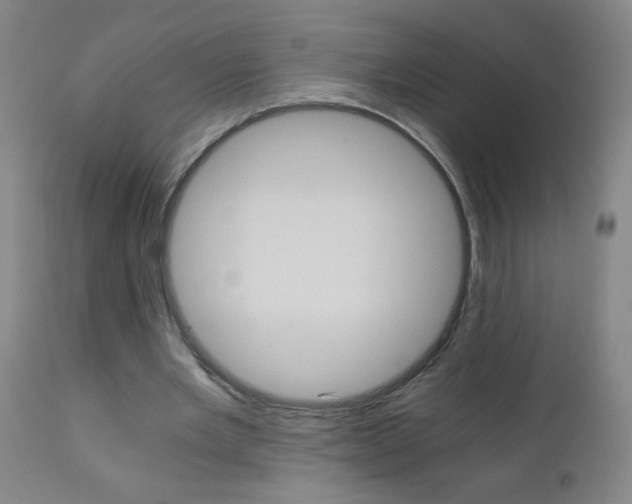 X0000110870485200906181014