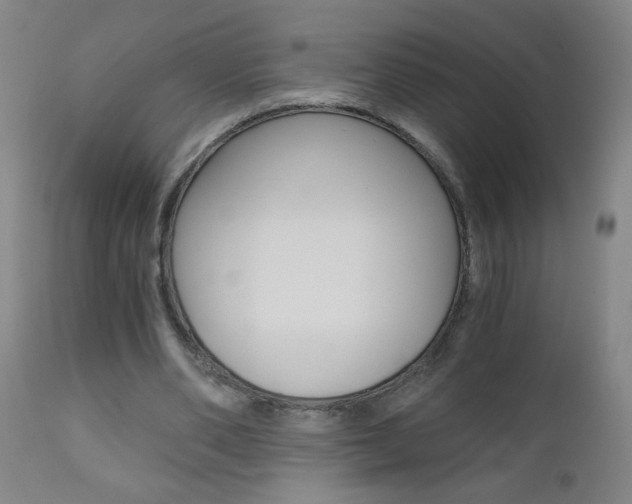 X0000110870486200906181014