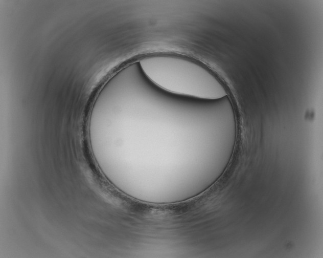 X0000110870487200906181014